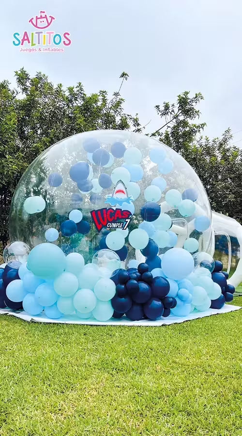 saltitos 13-OPTIMIZED